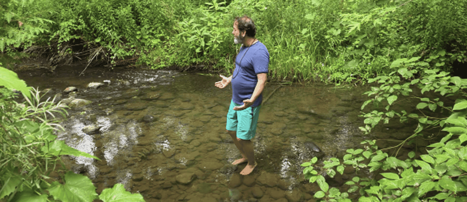 Featured image for “Reflections from the River: Water, Consciousness, and Living Souls in Newmarket”